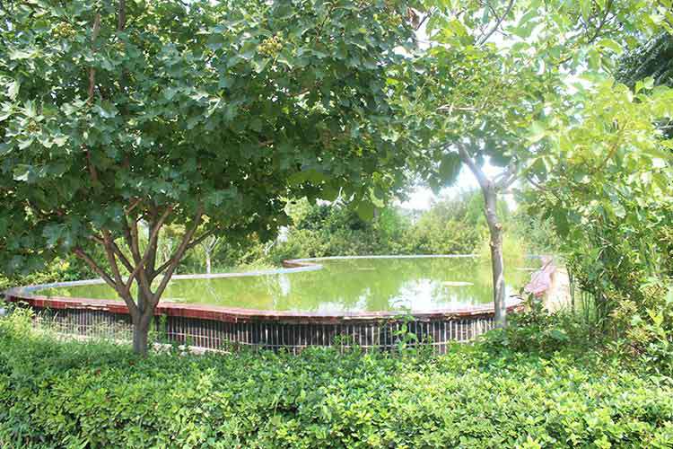 华体会app注册登录-华体会app登录入口机械厂区环境优美